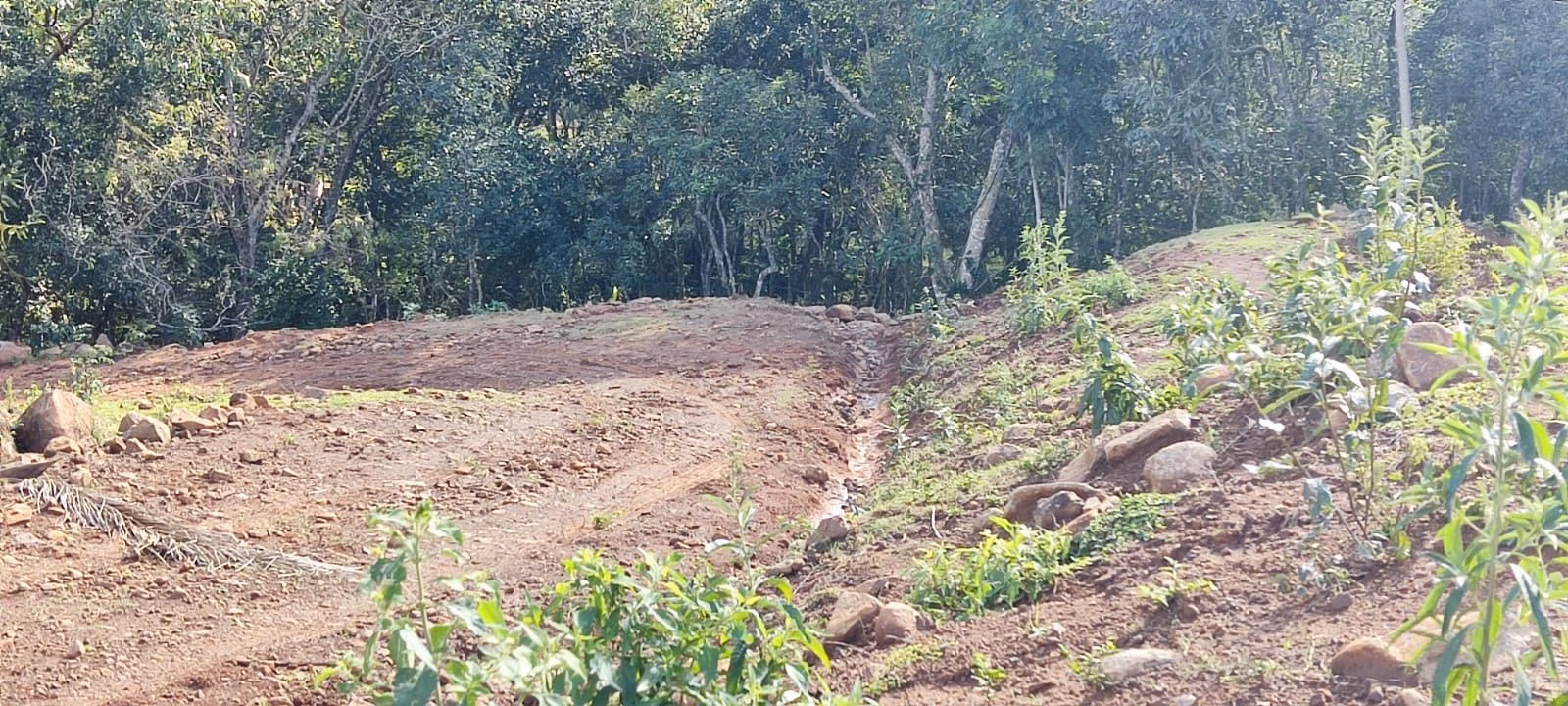 Chácara de 5 ha em Igrejinha, RS