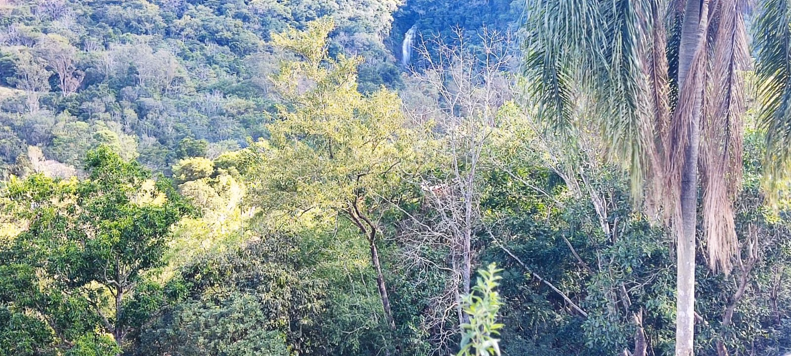 Chácara de 5 ha em Igrejinha, RS