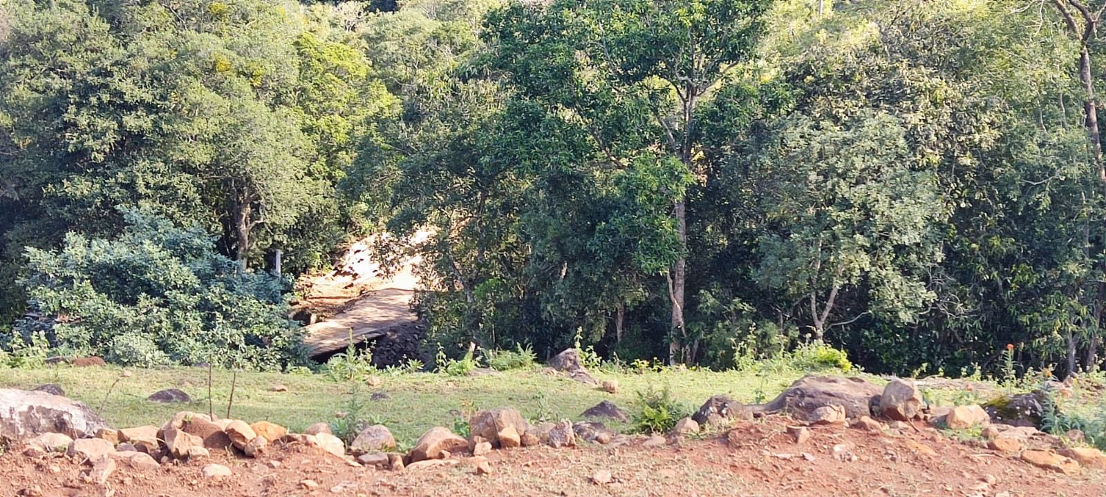 Chácara de 5 ha em Igrejinha, RS
