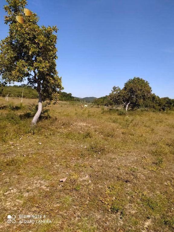 Farm of 759 acres in Chapada dos Guimarães, MT, Brazil