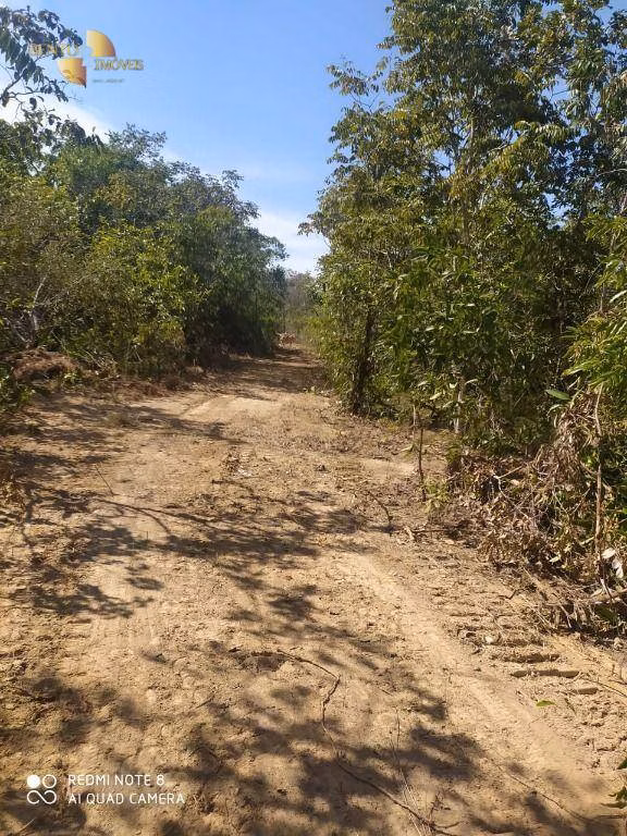Fazenda de 307 ha em Chapada dos Guimarães, MT