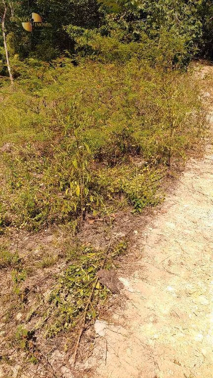 Fazenda de 307 ha em Chapada dos Guimarães, MT