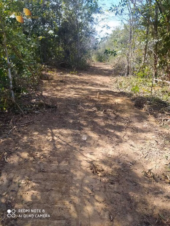 Fazenda de 307 ha em Chapada dos Guimarães, MT