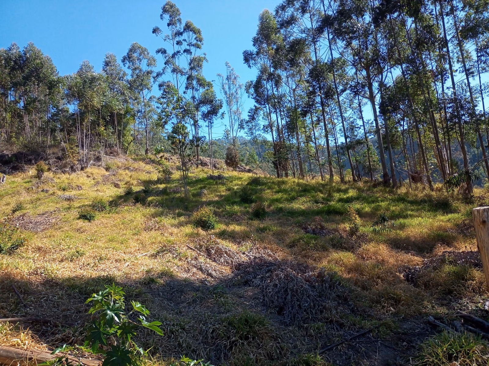 Small farm of 30 acres in Paraibuna, SP, Brazil