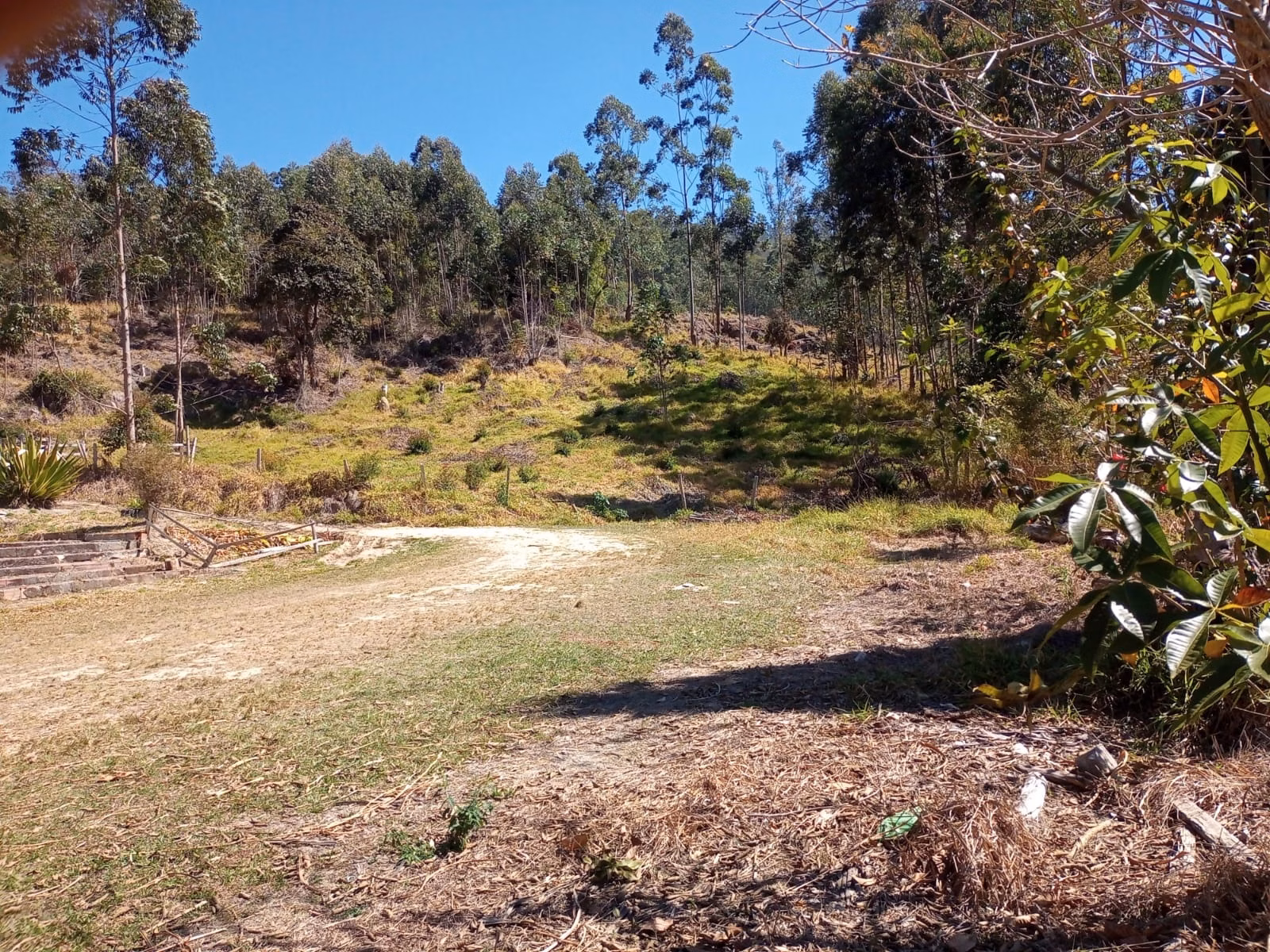 Sítio de 12 ha em Paraibuna, SP