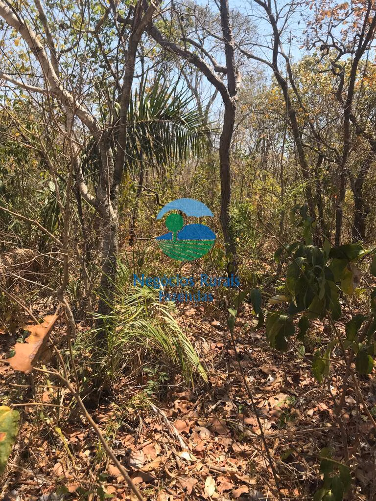 Fazenda de 460 ha em Palmeirópolis, TO