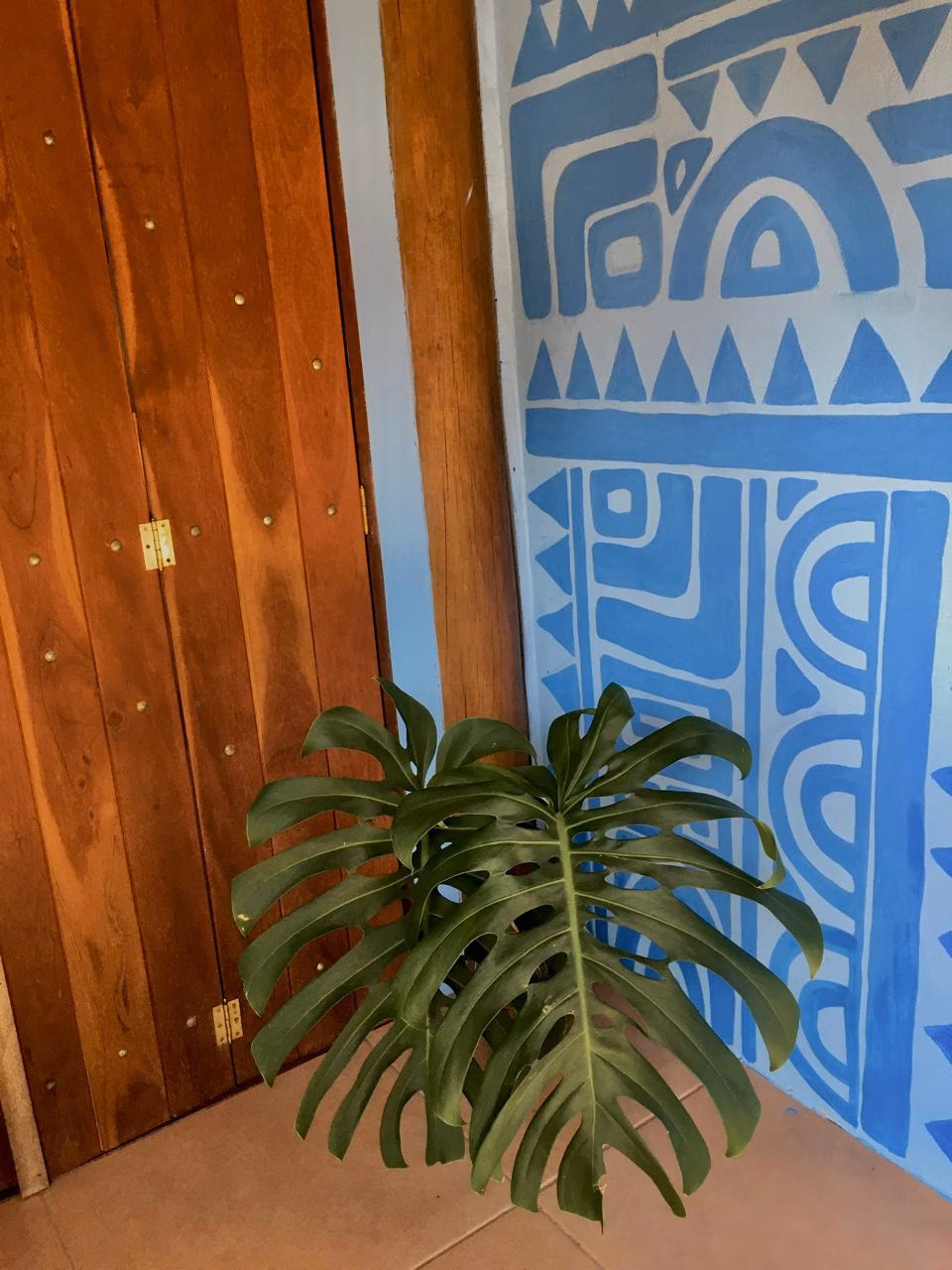 Chácara de 1.300 m² em Paraty, RJ