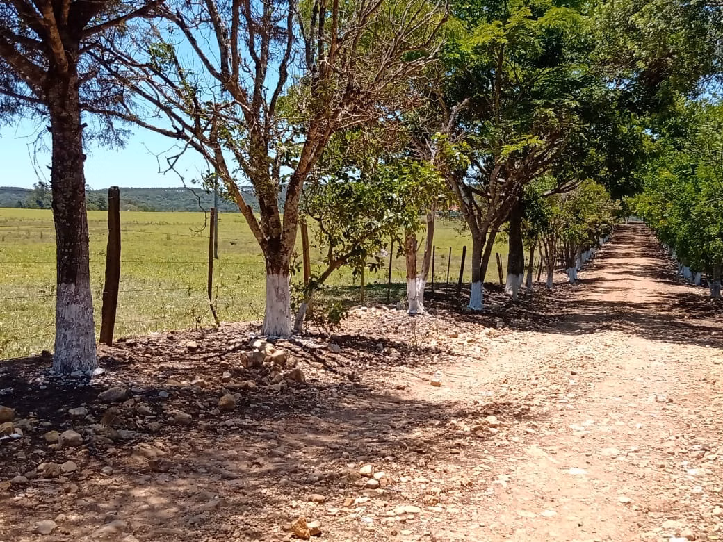 Sítio de 15 ha em Angatuba, SP