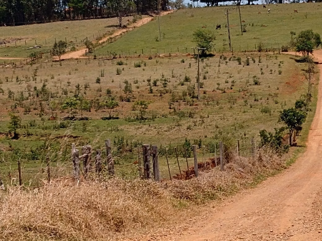 Sítio de 15 ha em Angatuba, SP