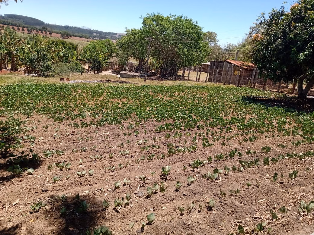 Small farm of 36 acres in Angatuba, SP, Brazil