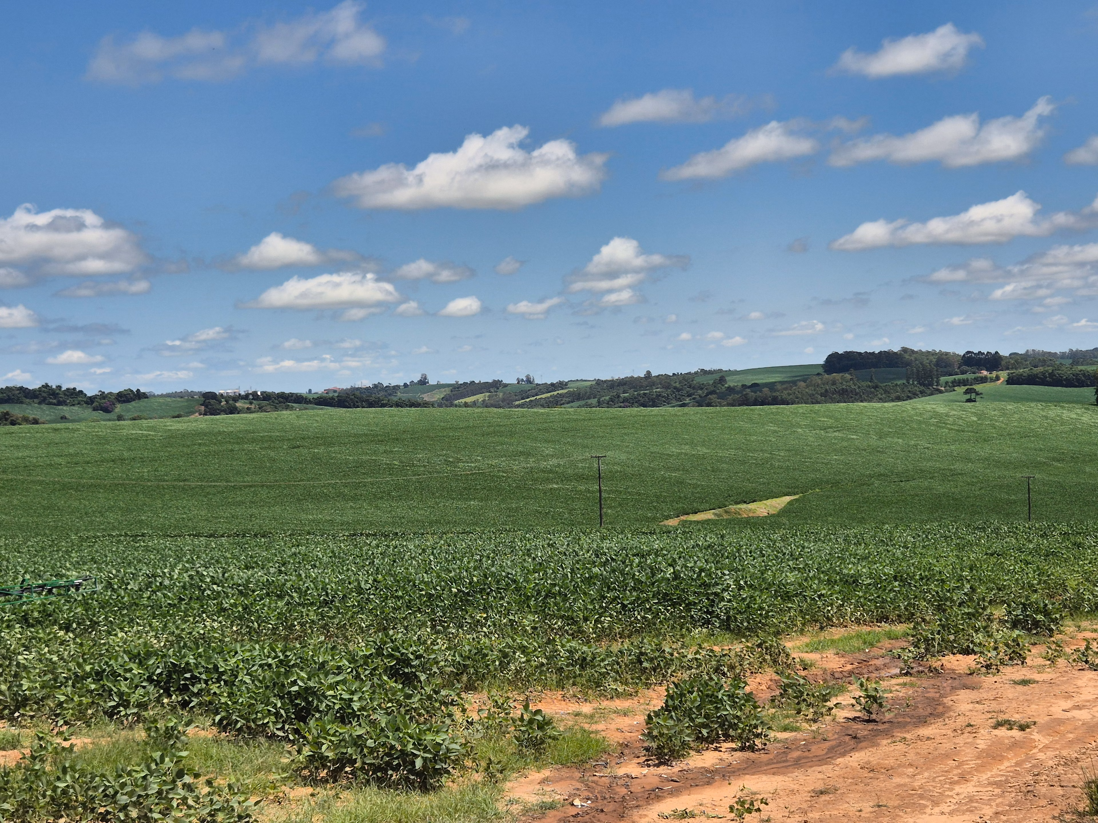 Farm of 266 acres in Wenceslau Braz, PR, Brazil