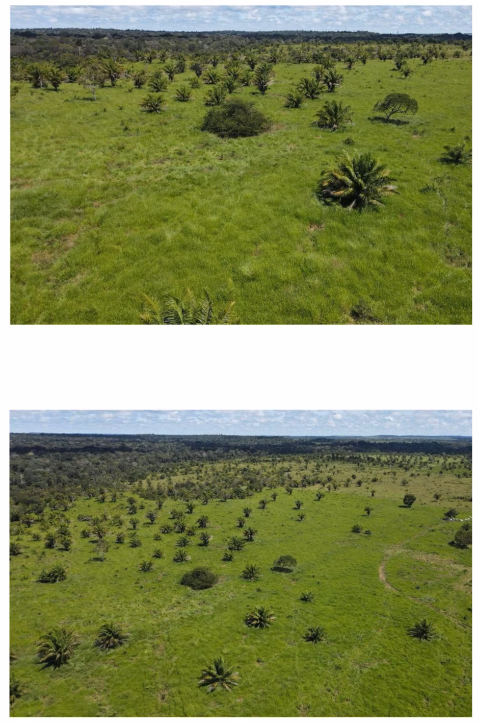 Fazenda de 2.221 ha em Pimenta Bueno, RO