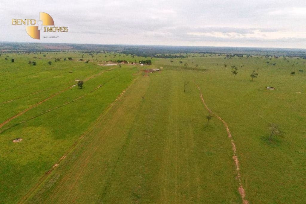 Fazenda de 6.700 ha em Cassilândia, MS