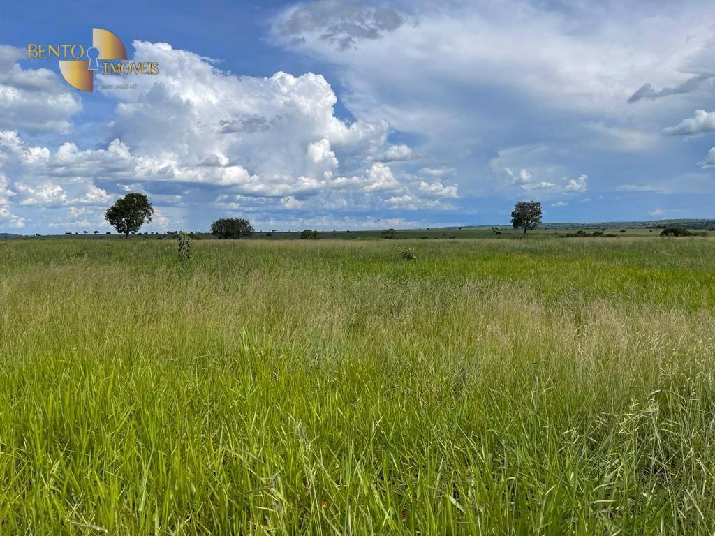 Fazenda de 6.700 ha em Cassilândia, MS