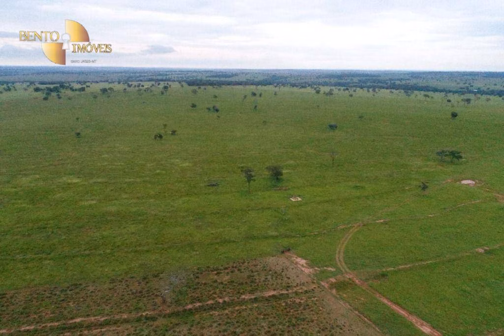 Fazenda de 6.700 ha em Cassilândia, MS
