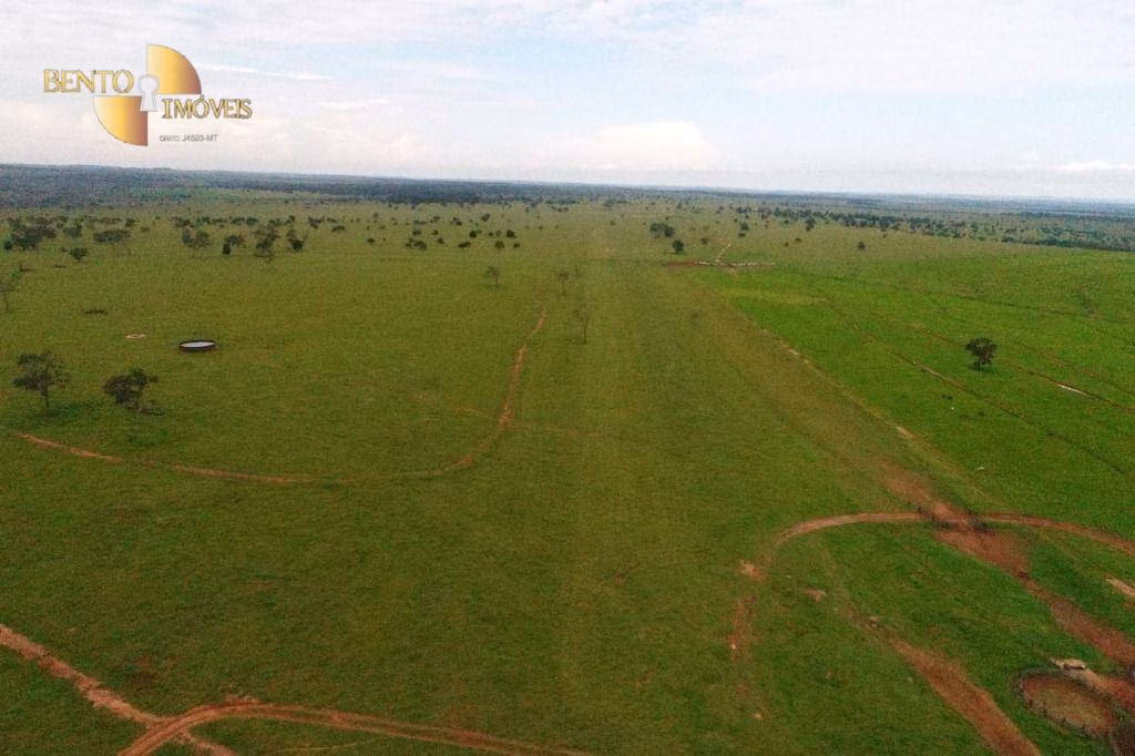 Fazenda de 6.700 ha em Cassilândia, MS