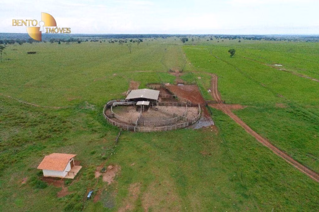 Fazenda de 6.700 ha em Cassilândia, MS