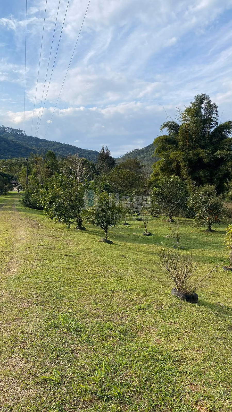 Farm of 208 acres in Tijucas, SC, Brazil