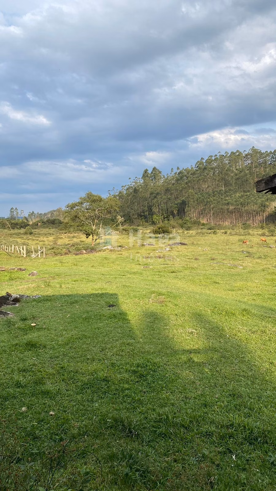 Farm of 208 acres in Tijucas, SC, Brazil