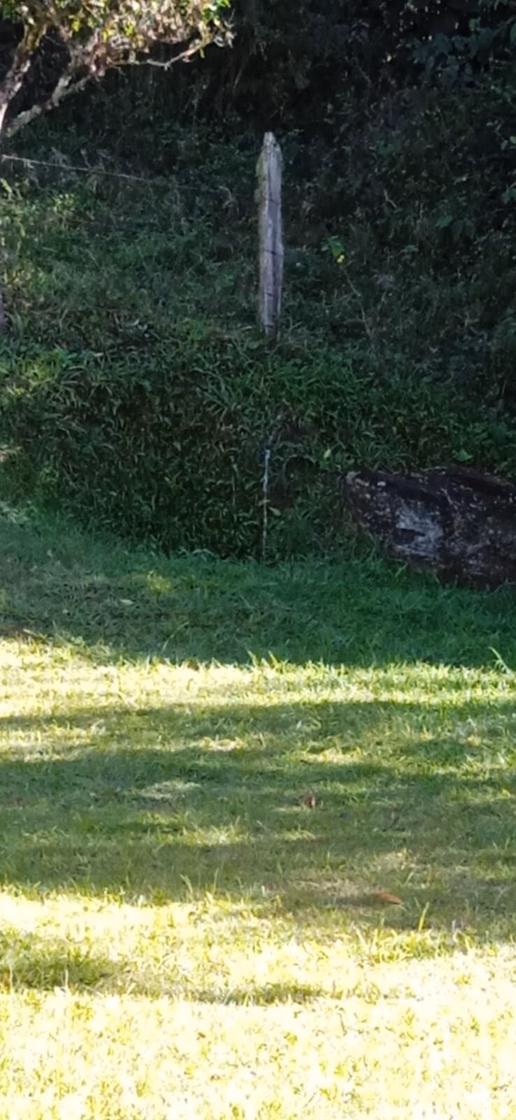 Sítio de 10 ha em São José dos Campos, SP