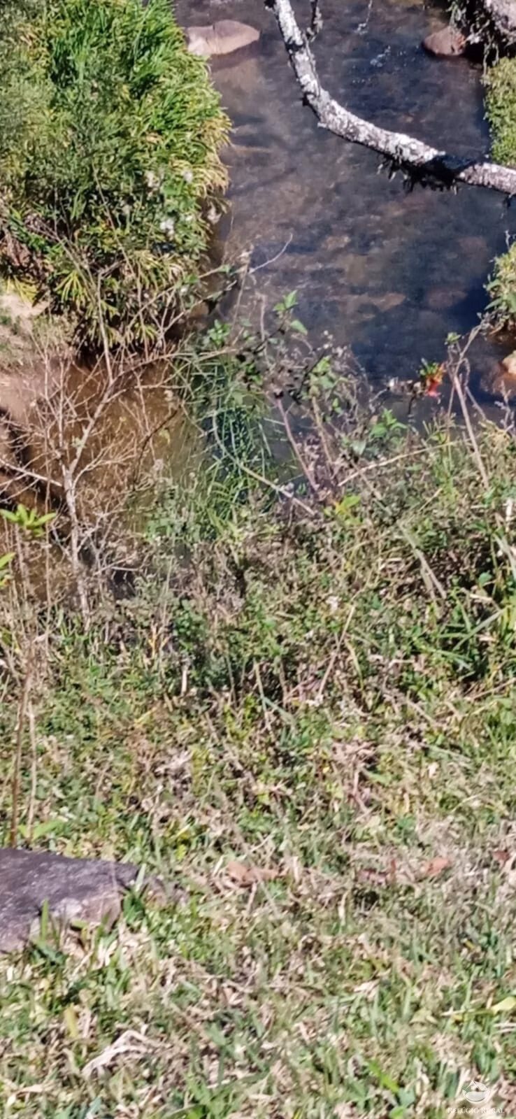 Sítio de 10 ha em São José dos Campos, SP