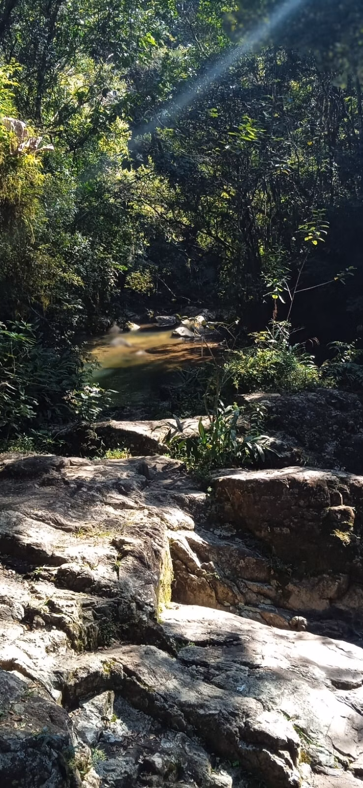 Sítio de 10 ha em São José dos Campos, SP
