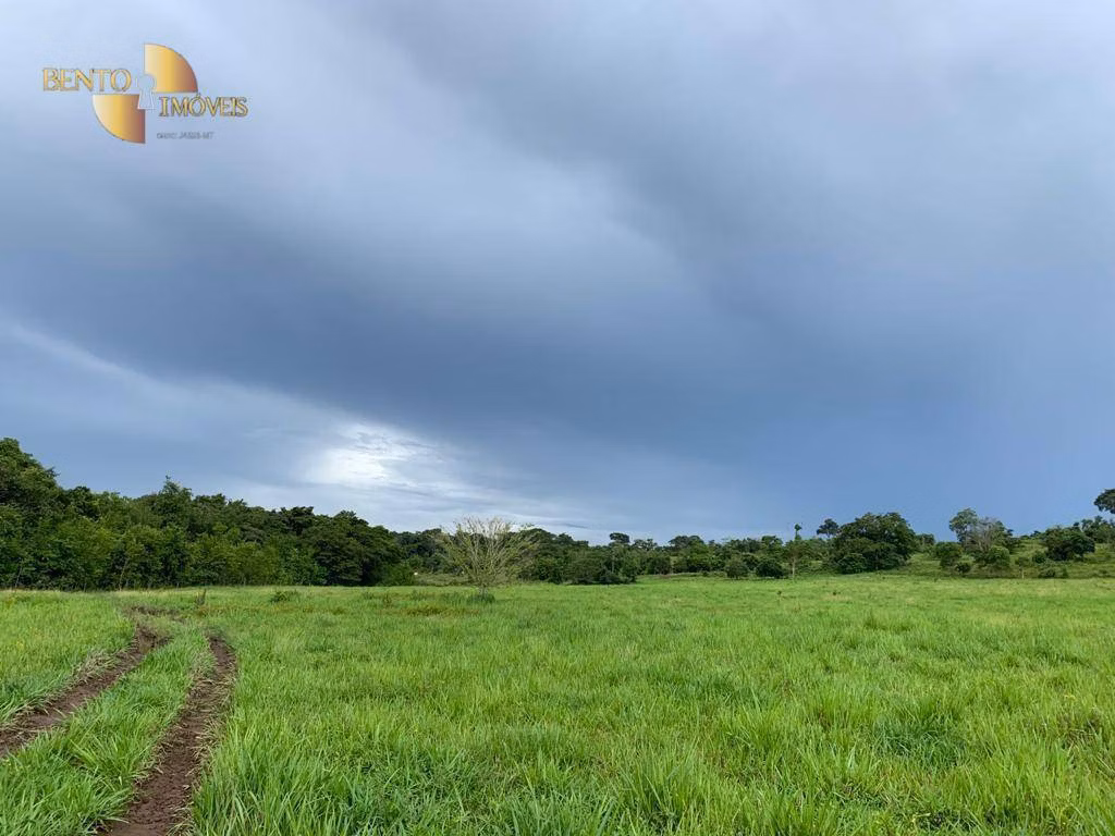 Fazenda de 612 ha em Rosário Oeste, MT