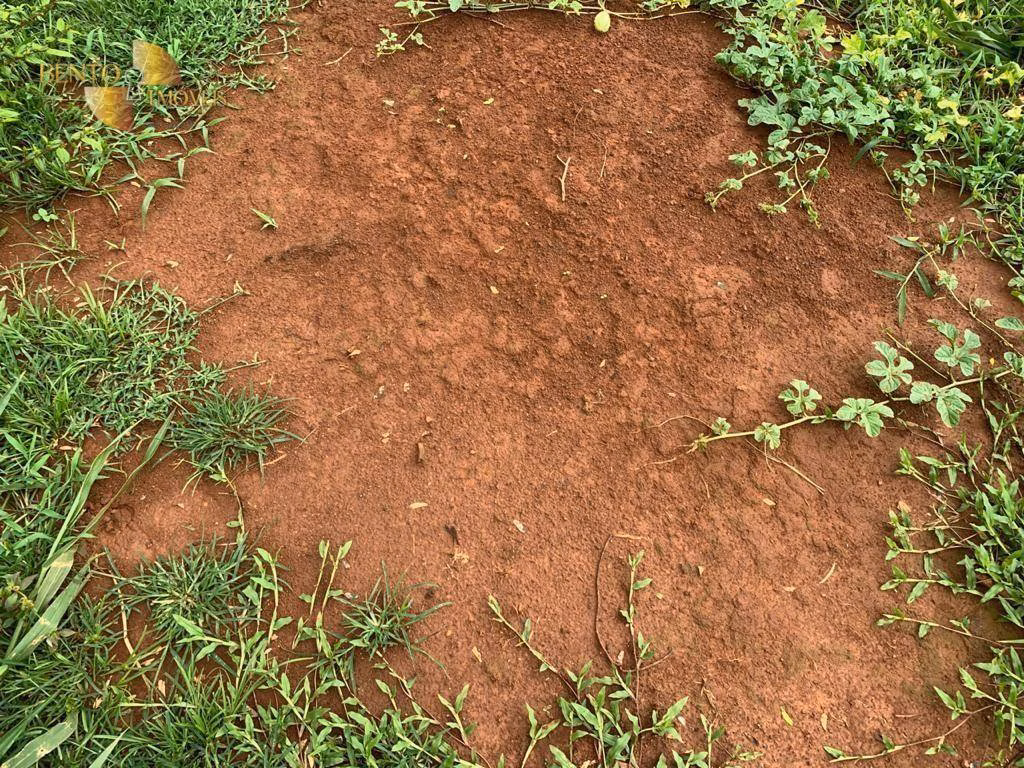 Fazenda de 612 ha em Rosário Oeste, MT