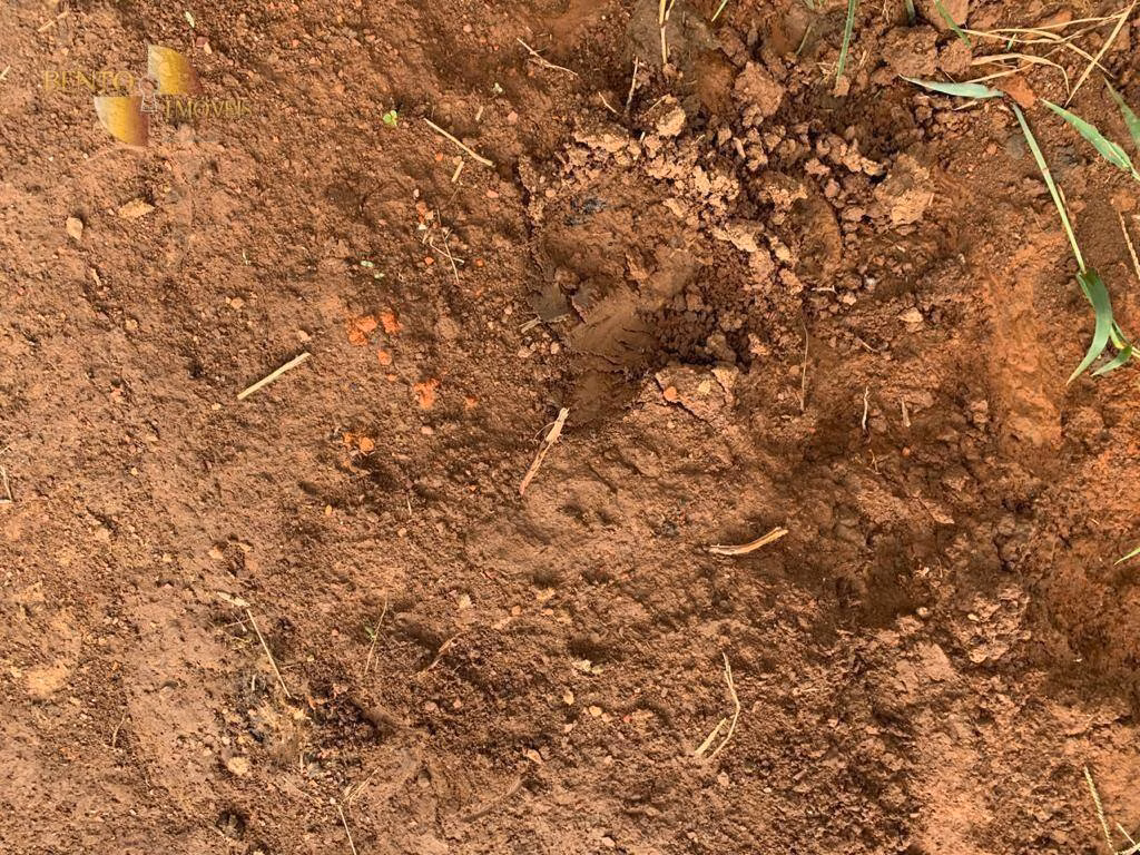 Fazenda de 612 ha em Rosário Oeste, MT