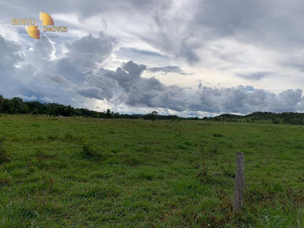 Fazenda de 612 ha em Rosário Oeste, MT