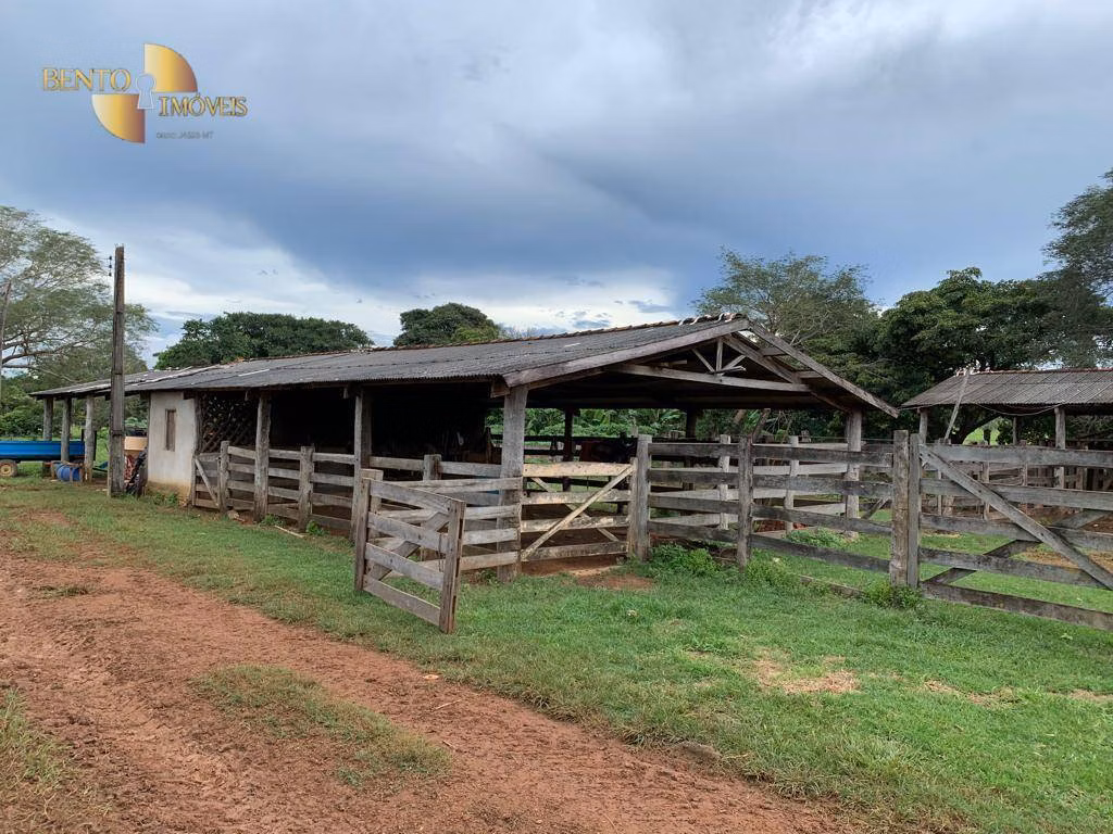 Fazenda de 612 ha em Rosário Oeste, MT