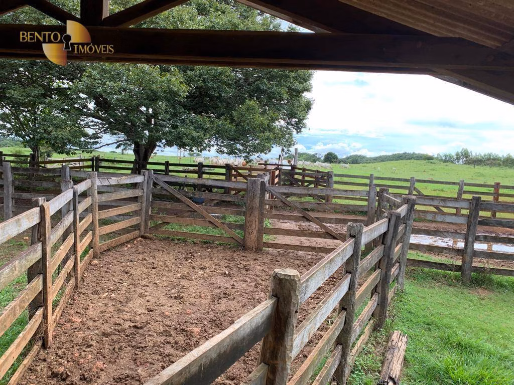 Fazenda de 612 ha em Rosário Oeste, MT