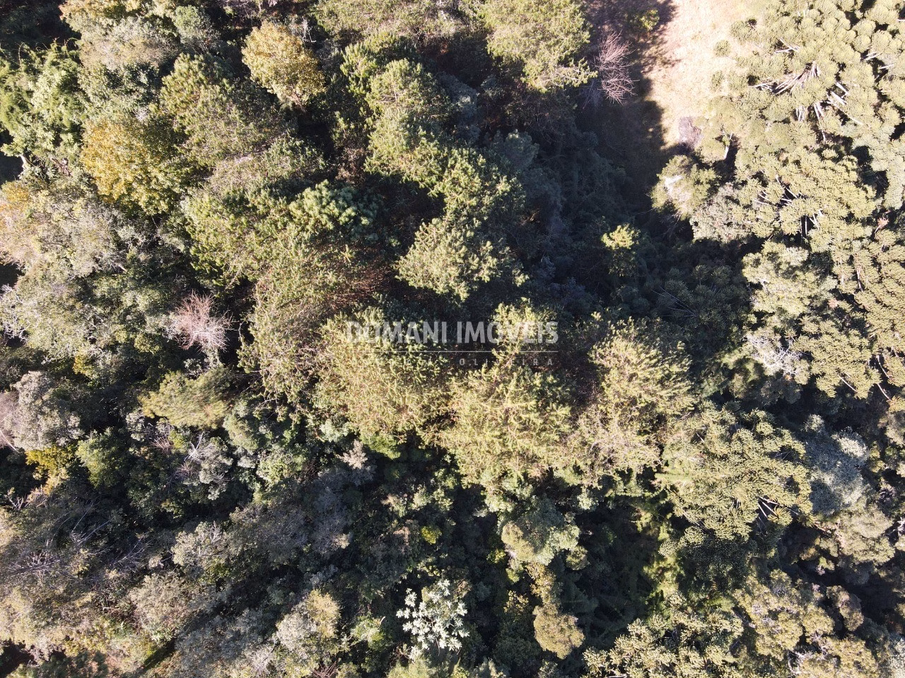 Plot of 1 acres in Campos do Jordão, SP, Brazil