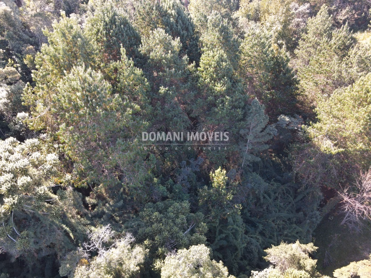 Plot of 1 acres in Campos do Jordão, SP, Brazil