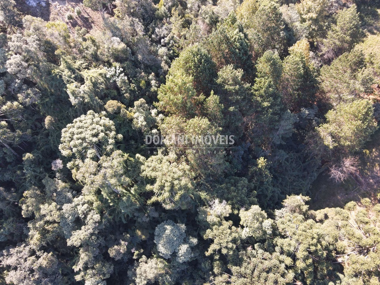 Plot of 1 acres in Campos do Jordão, SP, Brazil