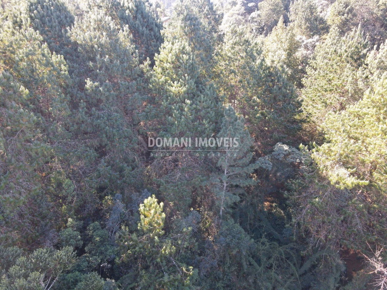 Plot of 1 acres in Campos do Jordão, SP, Brazil