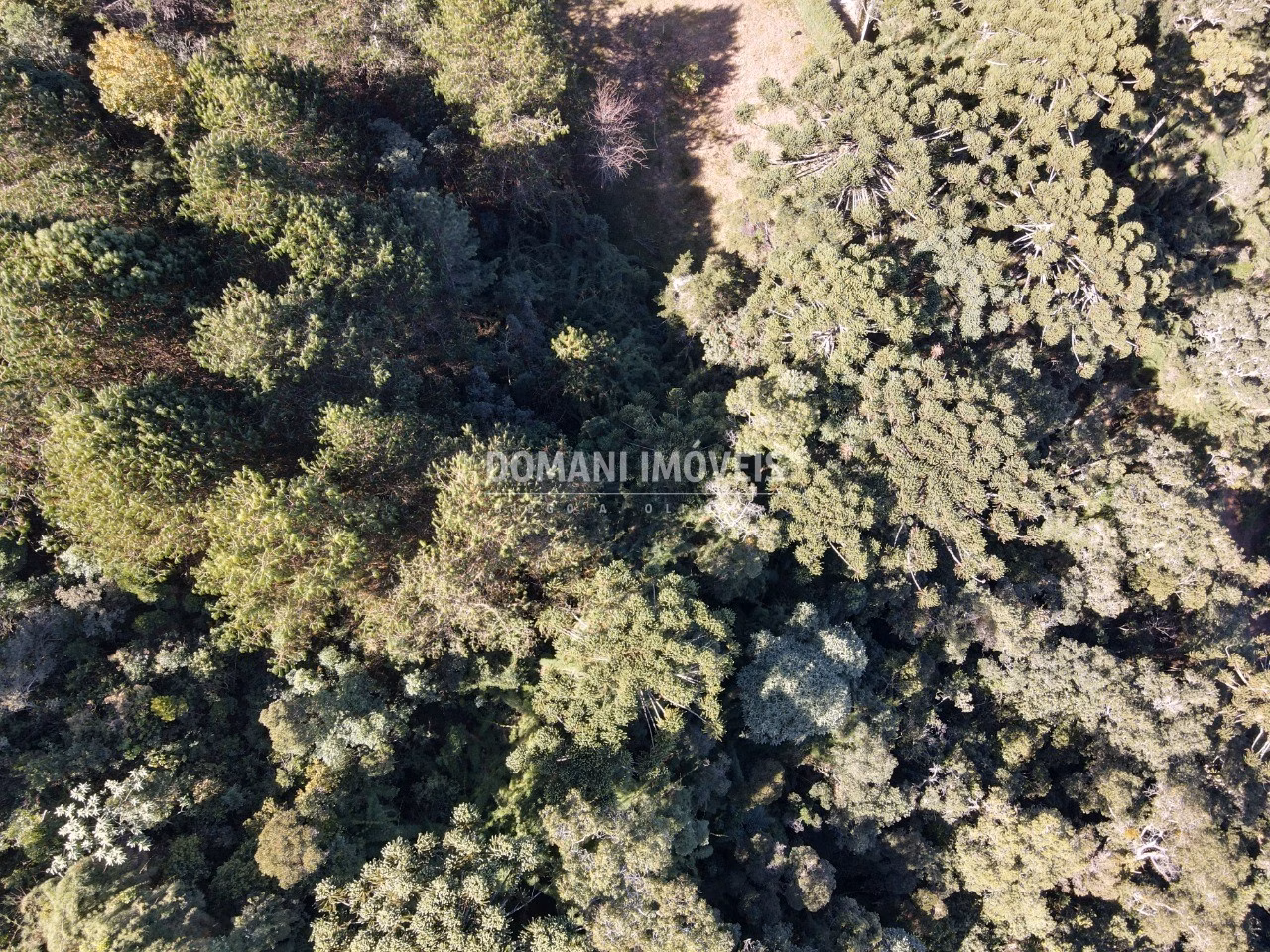 Plot of 1 acres in Campos do Jordão, SP, Brazil