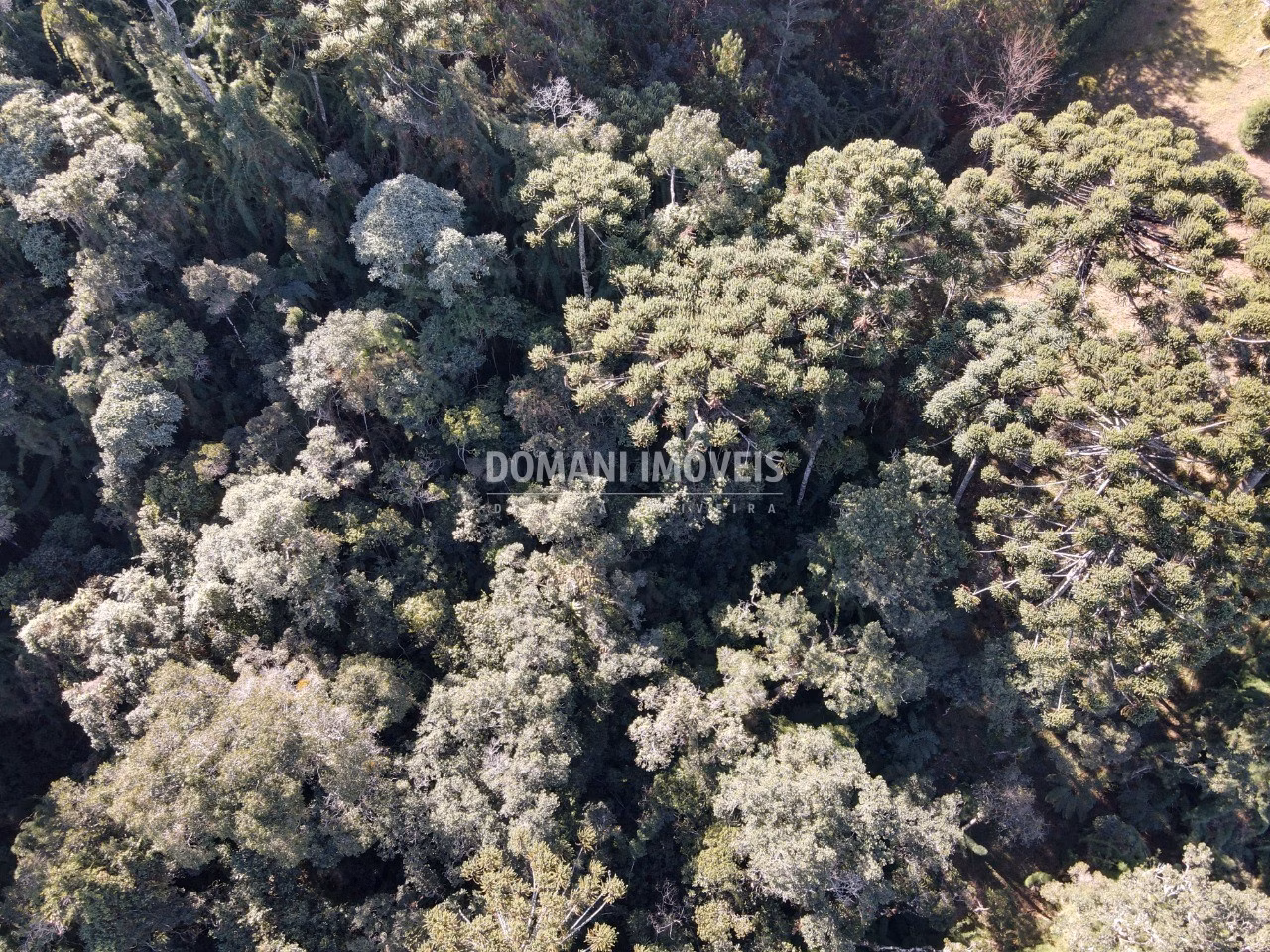 Plot of 1 acres in Campos do Jordão, SP, Brazil