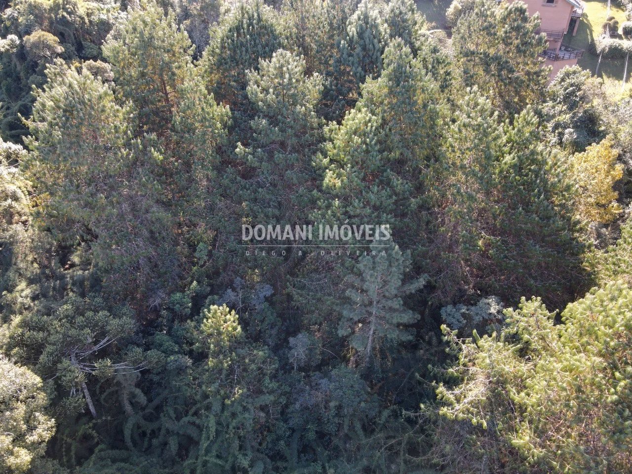 Plot of 1 acres in Campos do Jordão, SP, Brazil