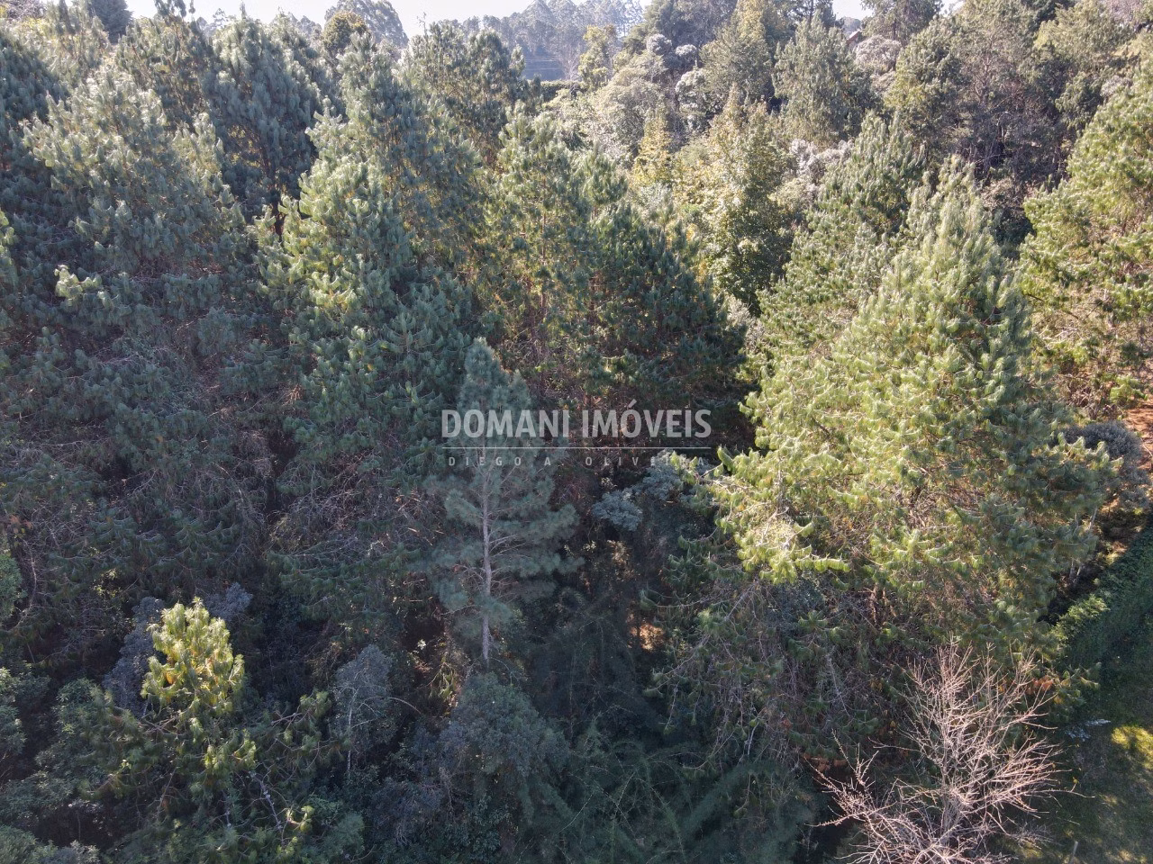Plot of 1 acres in Campos do Jordão, SP, Brazil