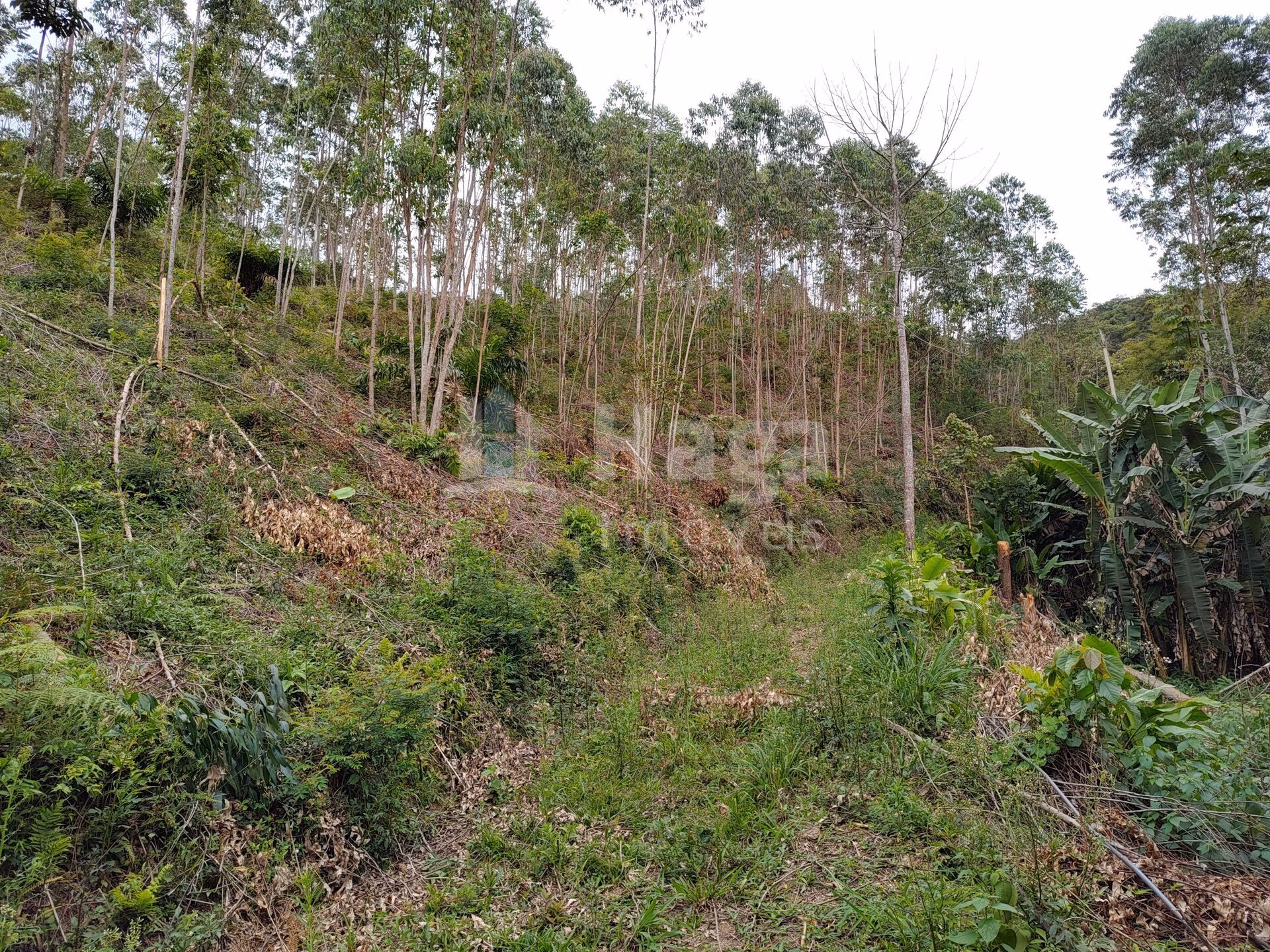 Farm of 7 acres in Botuverá, SC, Brazil