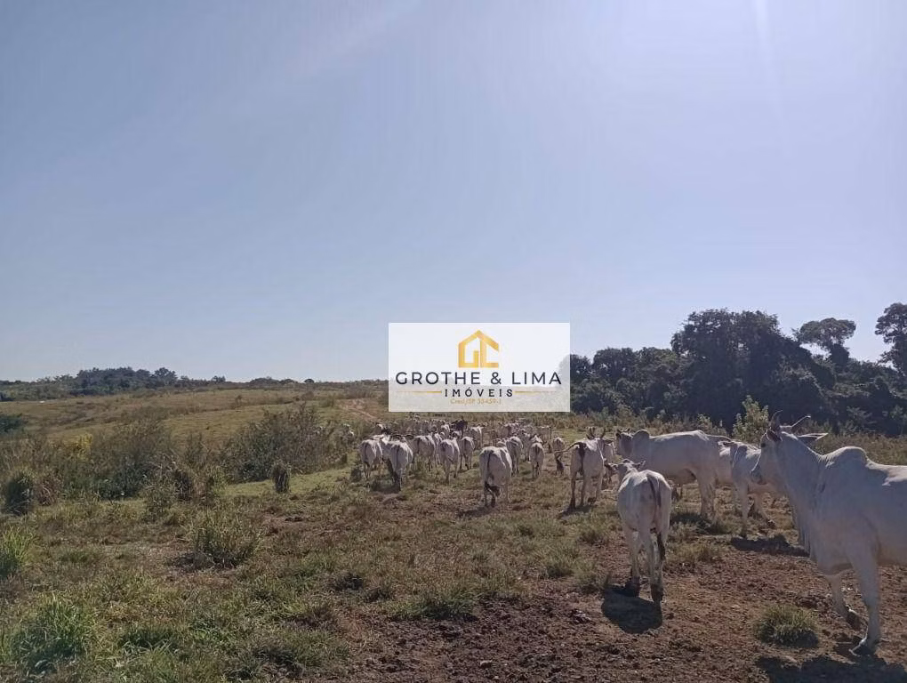 Farm of 167 acres in Tietê, SP, Brazil