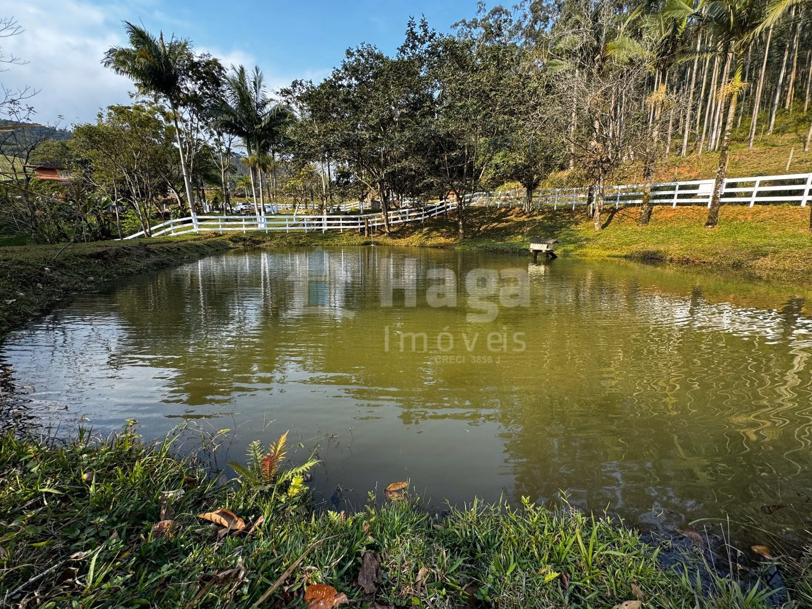 Chácara de 8.044 m² em Canelinha, SC