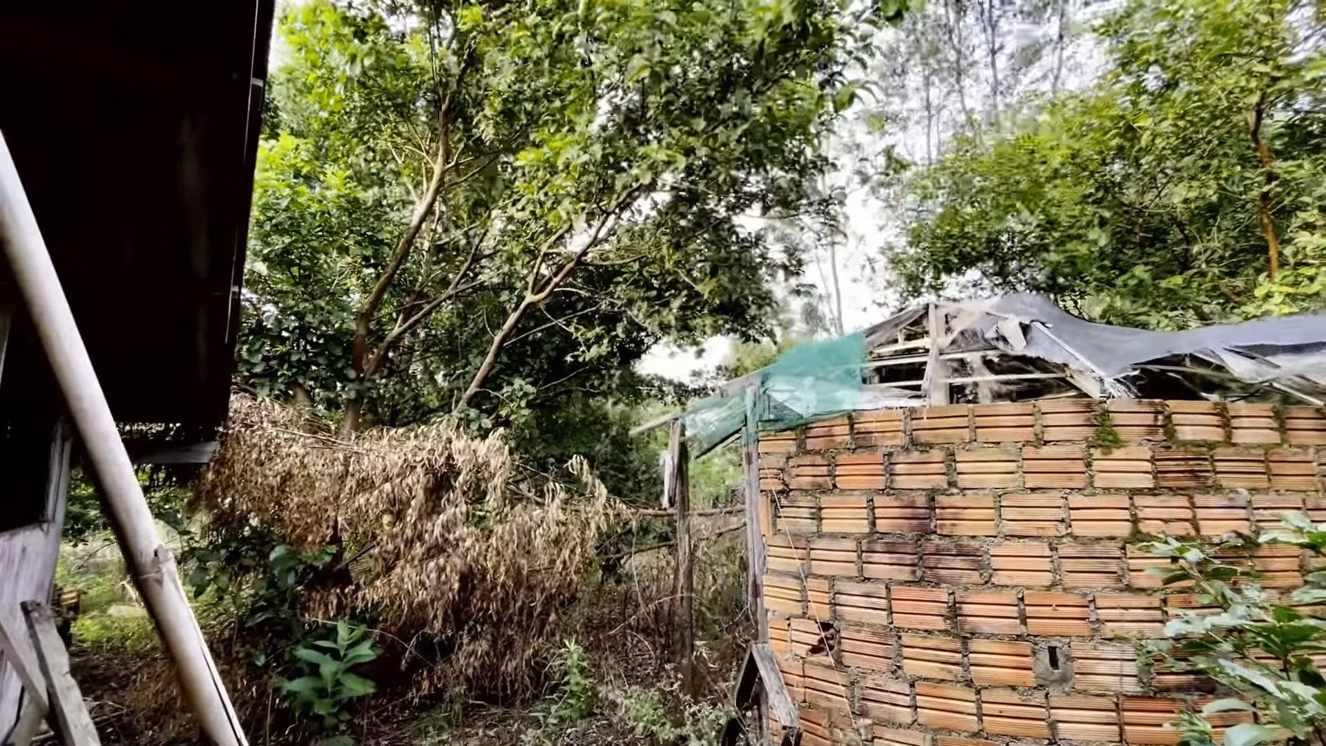 Chácara de 2.200 m² em Santo Antônio da Patrulha, RS
