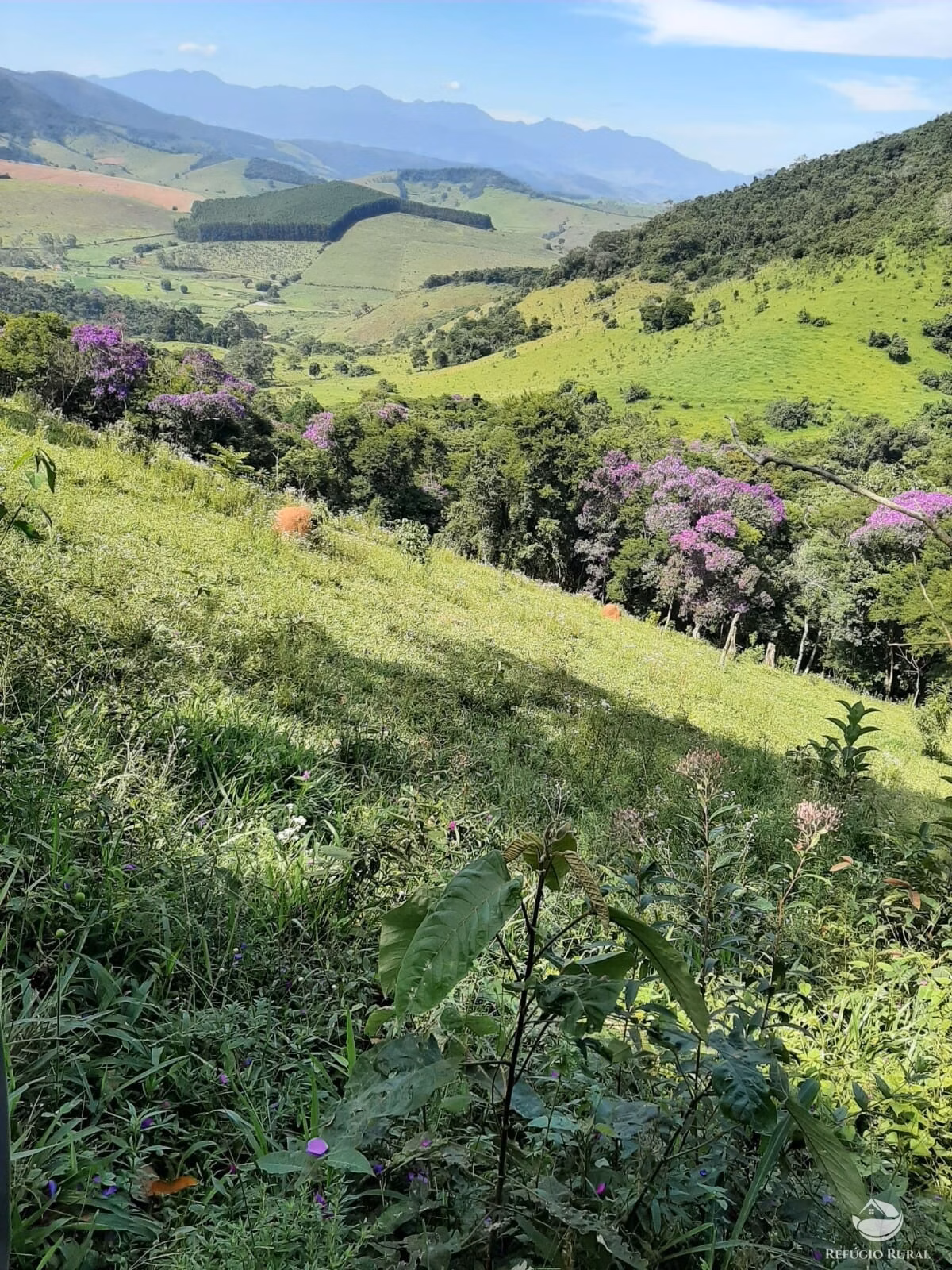 Small farm of 166 acres in Pouso Alto, MG, Brazil