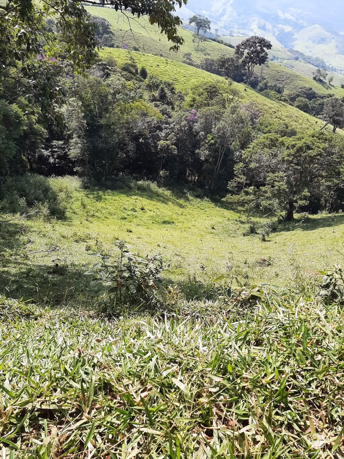 Small farm of 166 acres in Pouso Alto, MG, Brazil