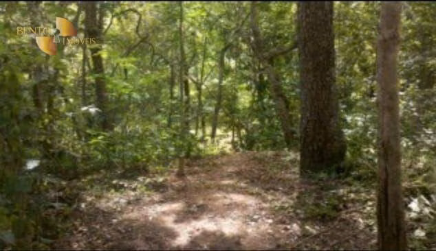 Terreno de 5 ha em Cuiabá, MT