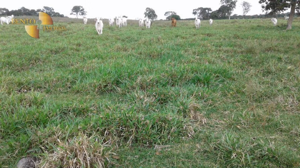 Fazenda de 697 ha em Cuiabá, MT