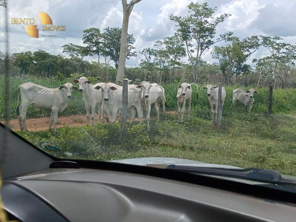 Fazenda de 697 ha em Cuiabá, MT