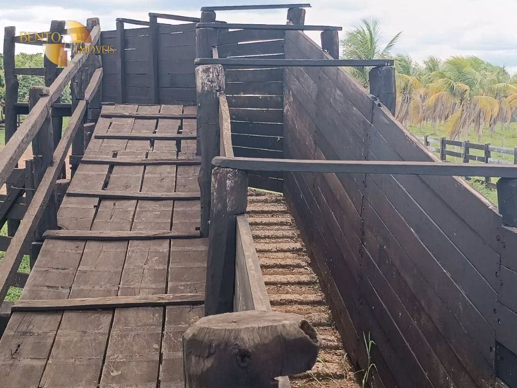 Fazenda de 697 ha em Cuiabá, MT